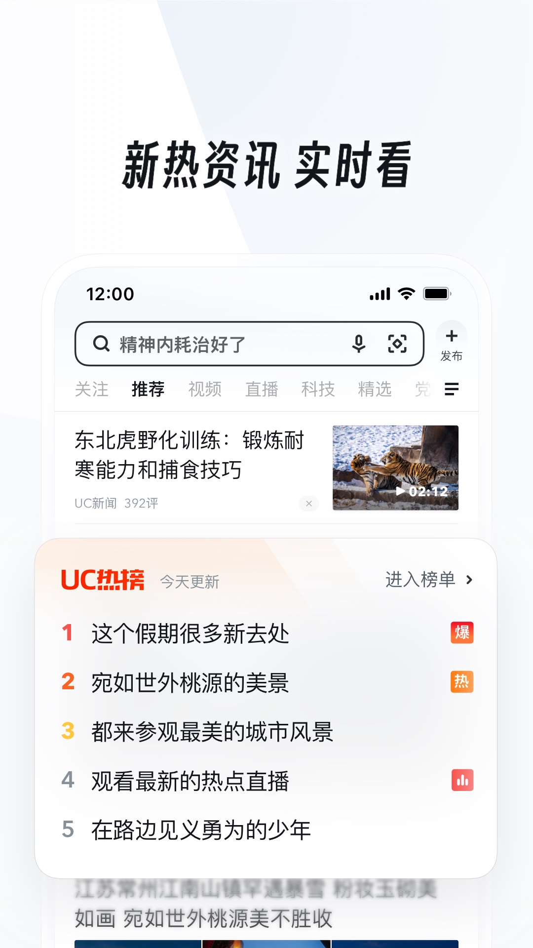 长腿昆虫像蟋蟀无翅膀截图